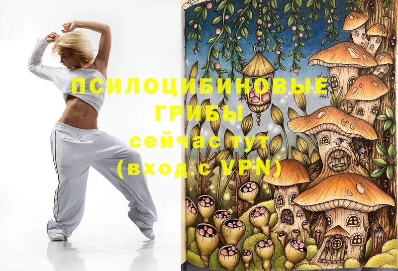 как найти   Волжск  Псилоцибиновые грибы Magic Shrooms 